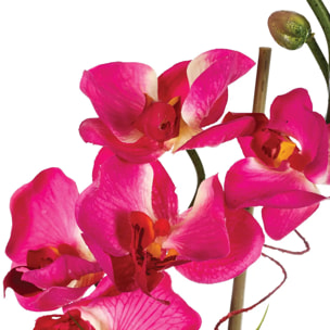 Composition d'orchidées artificielles vase verre H37cm