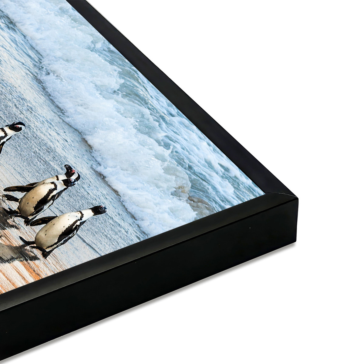 Affiche encadrée manchots sur la plage Affiche + cadre en métal - Noir