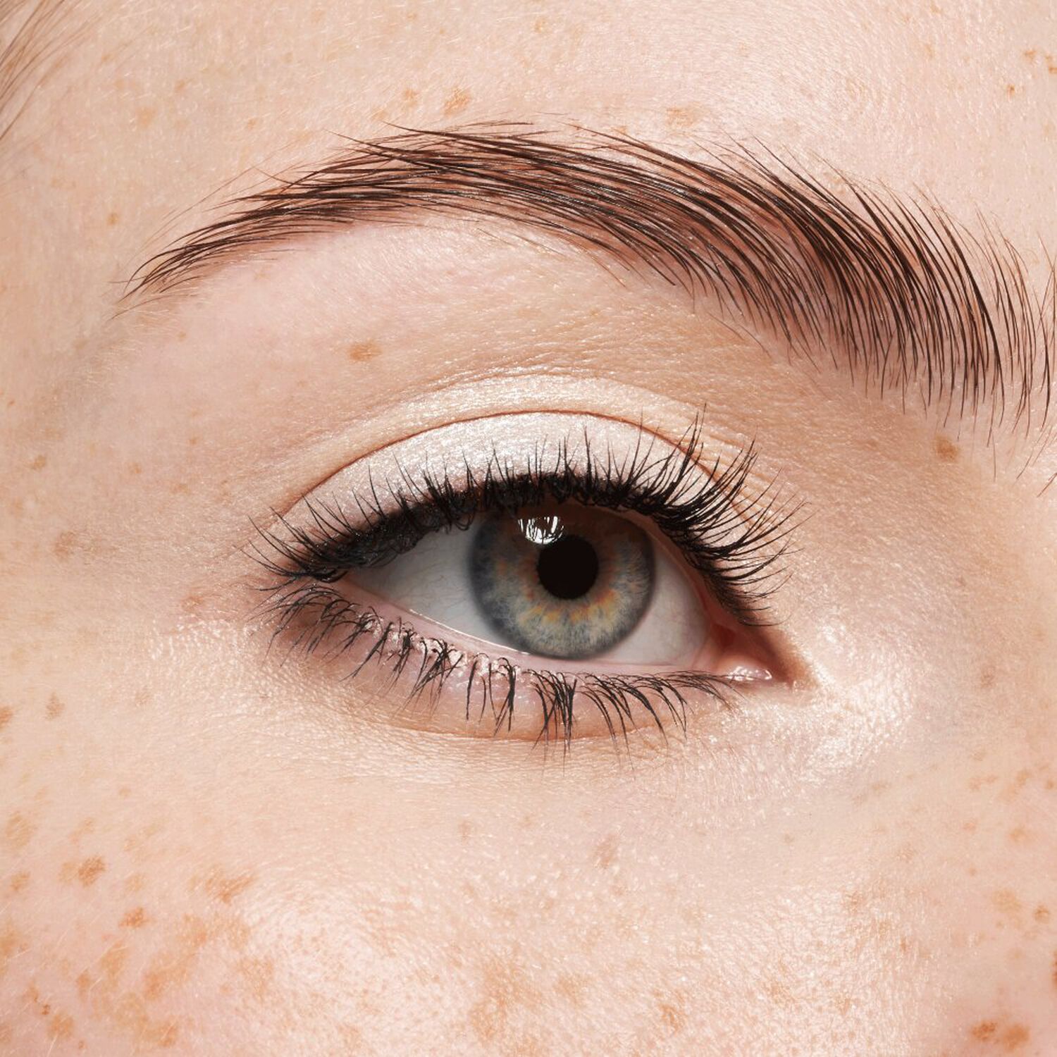 Highlighting Eyeshadow - Fard à Paupières Illuminateur Hautement pigmenté