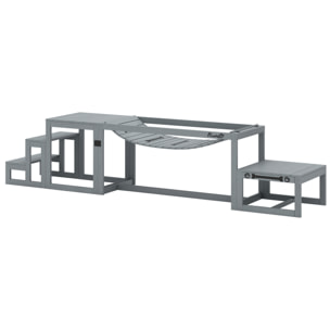 Passerelle agility chiens - Passerelle pour parcours canins d'Agility - bois de sapin gris