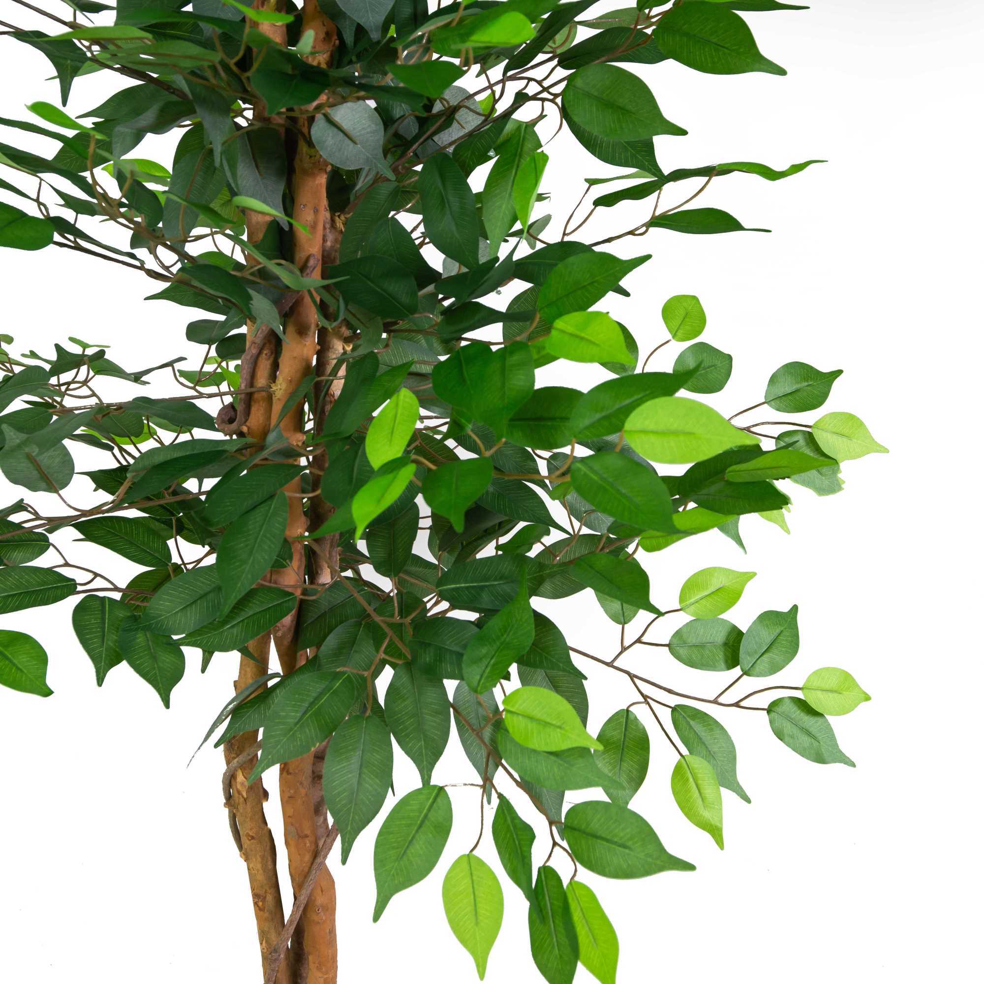 Pianta artificiale Vacchetti in plastica ficus cm h150