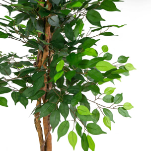 Pianta artificiale Vacchetti in plastica ficus cm h150