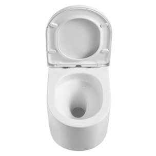 Pack WC Bâti-support + WC sans bride Tornado Swiss Aqua Technologies + abattant SoftClose + Plaque (DELANOTQGEB3-VP)