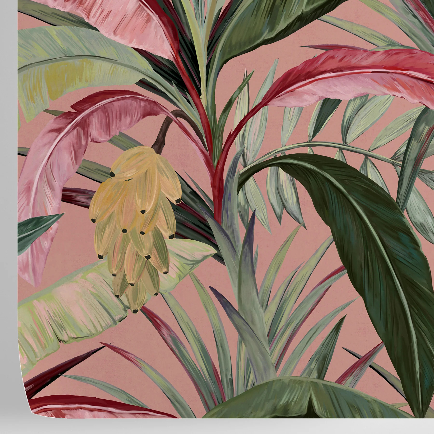 Carta da Parati Bosco Tropicale Rosa