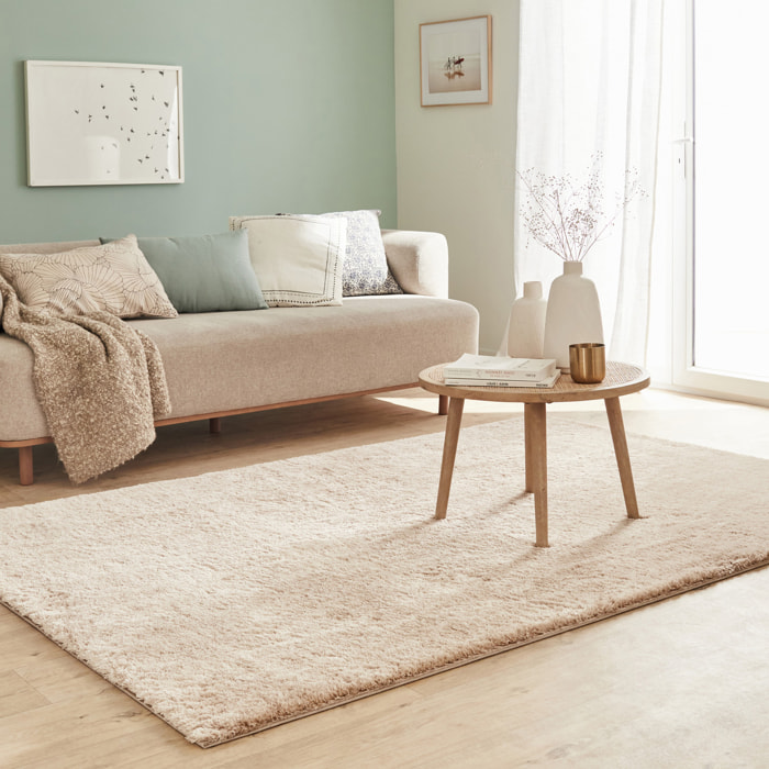 Cosy - tapis salon à poils longs tout doux, beige