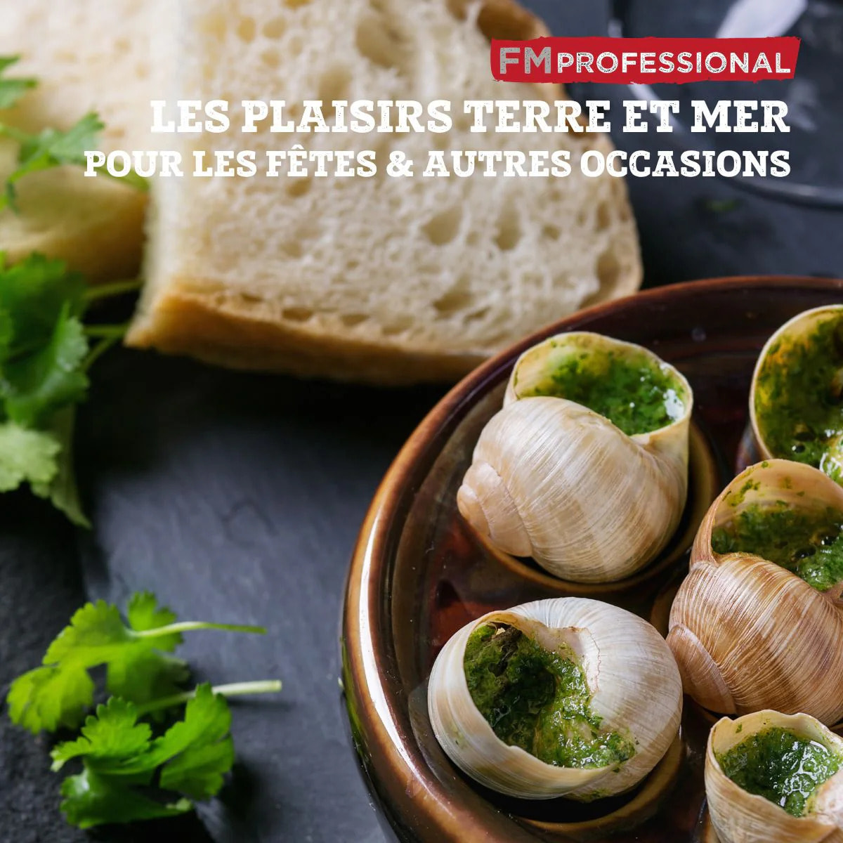 Lot de 4 pinces à escargot FM Professional