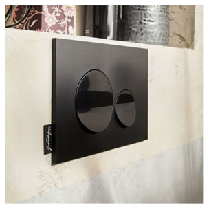 Plaque de commande JACOB DELAFON, double touches rondes Noir brillant