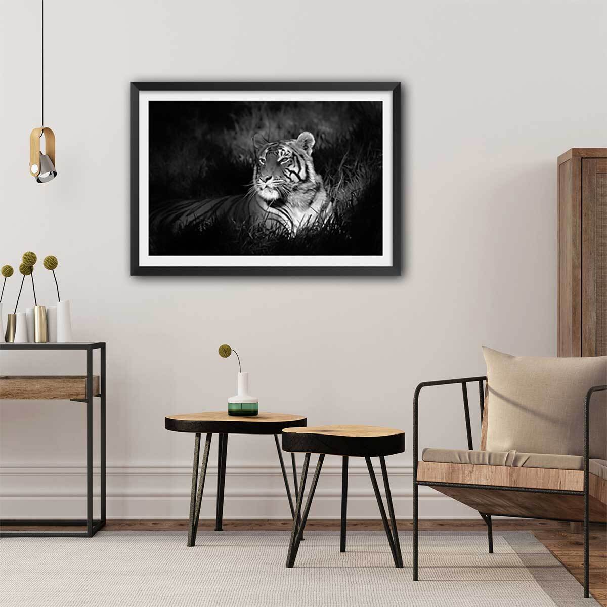 Affiche tigre assoupi dans son rayon de lumière Affiche + cadre en bois - Noir