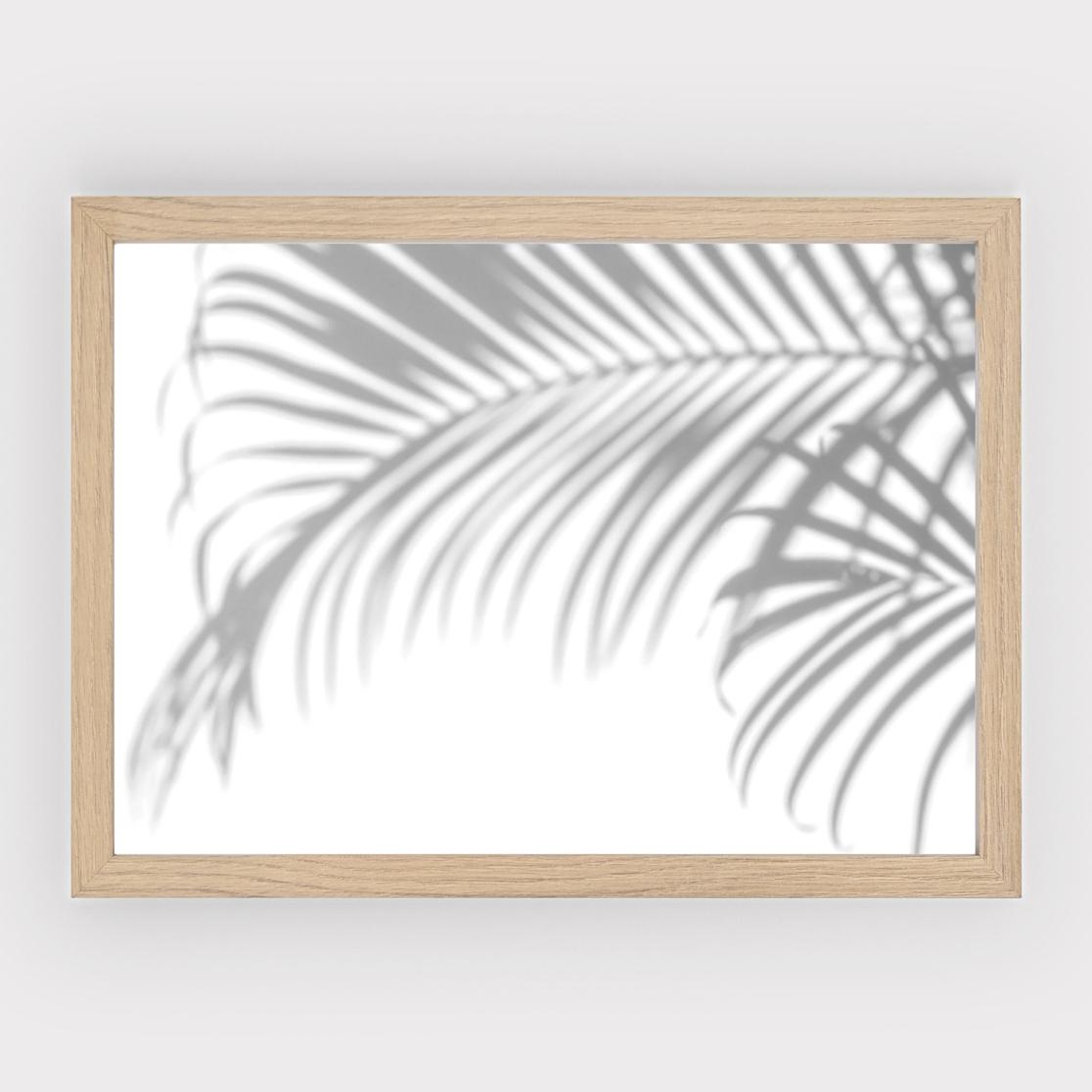 Poster Palm Shadow