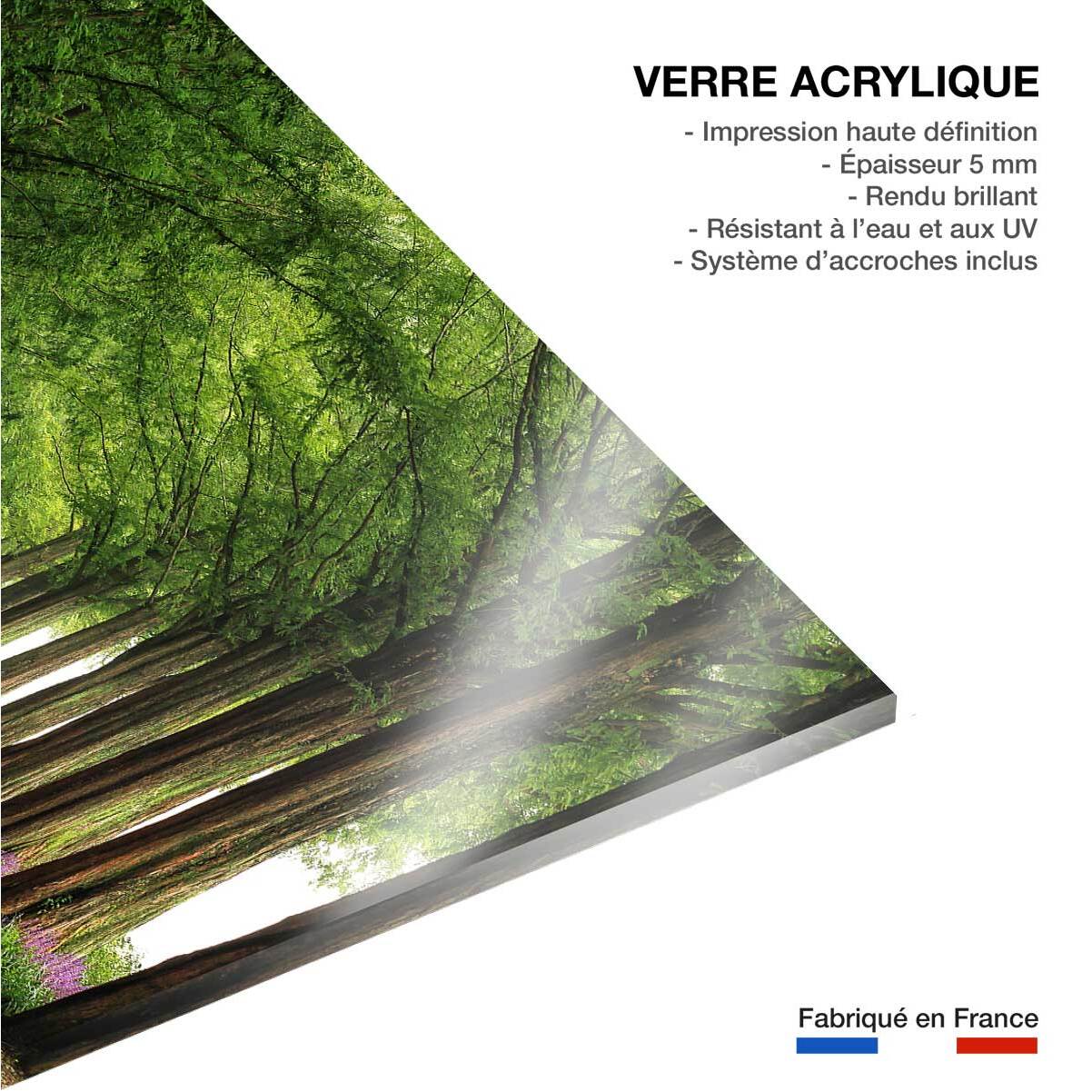 Tableau paysage Metasequoia Tableau plexiglas