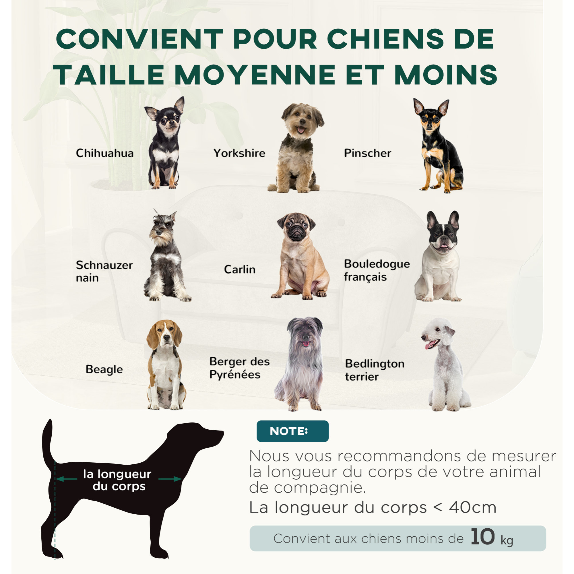 Canapé pour chien design - coussin déhoussable - dim. 74L x 41l x 32,5H cm - velours gris