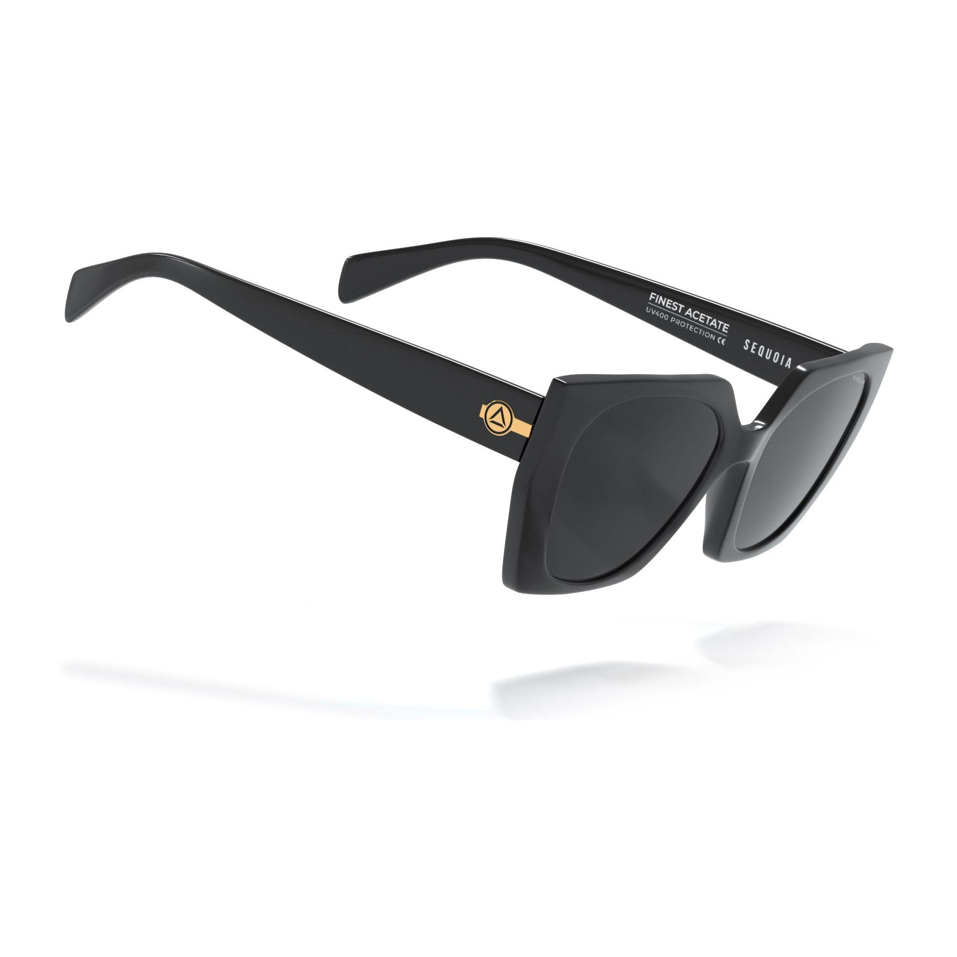 Gafas de Sol Uller Sequoia Black / Black para hombre y para mujer