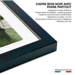 Poster Aquarelle botanique Affiche + cadre en bois - Noir