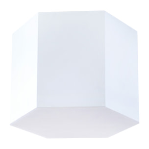 LEDS C4 Plafon Six 220Mm Led 13W 3000K Blanco