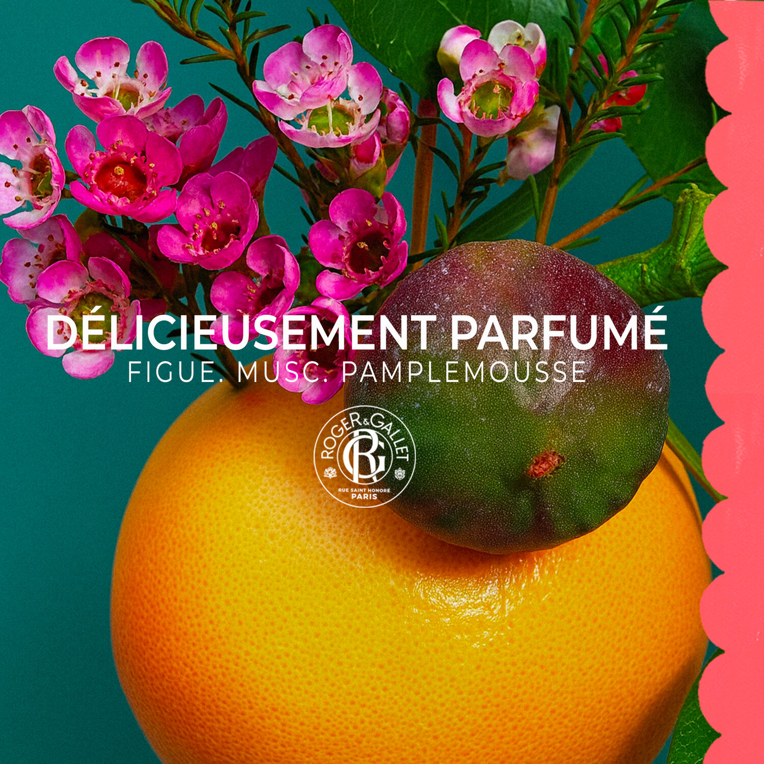 Fleur de Figuier - Lait Corps Bienfaisant