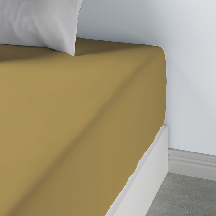 Drap Housse Coton 57fils Uni - Bonnet 35cm Gold