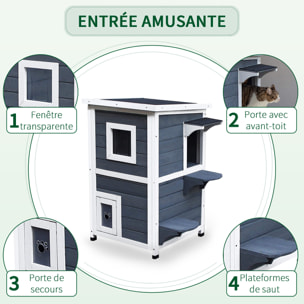 Maisonnette pour chat sur pied 2 niveaux - toit ouvrant bitumé - bois sapin pré-huilé peint gris blanc