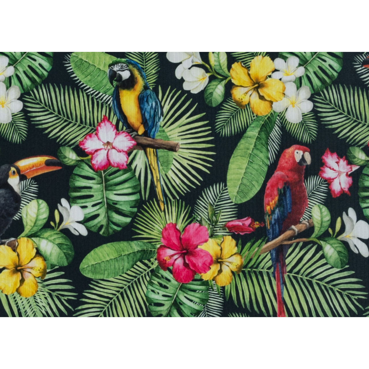 Tappeto Passatoia Cucina Sprinty Disegno Tropical