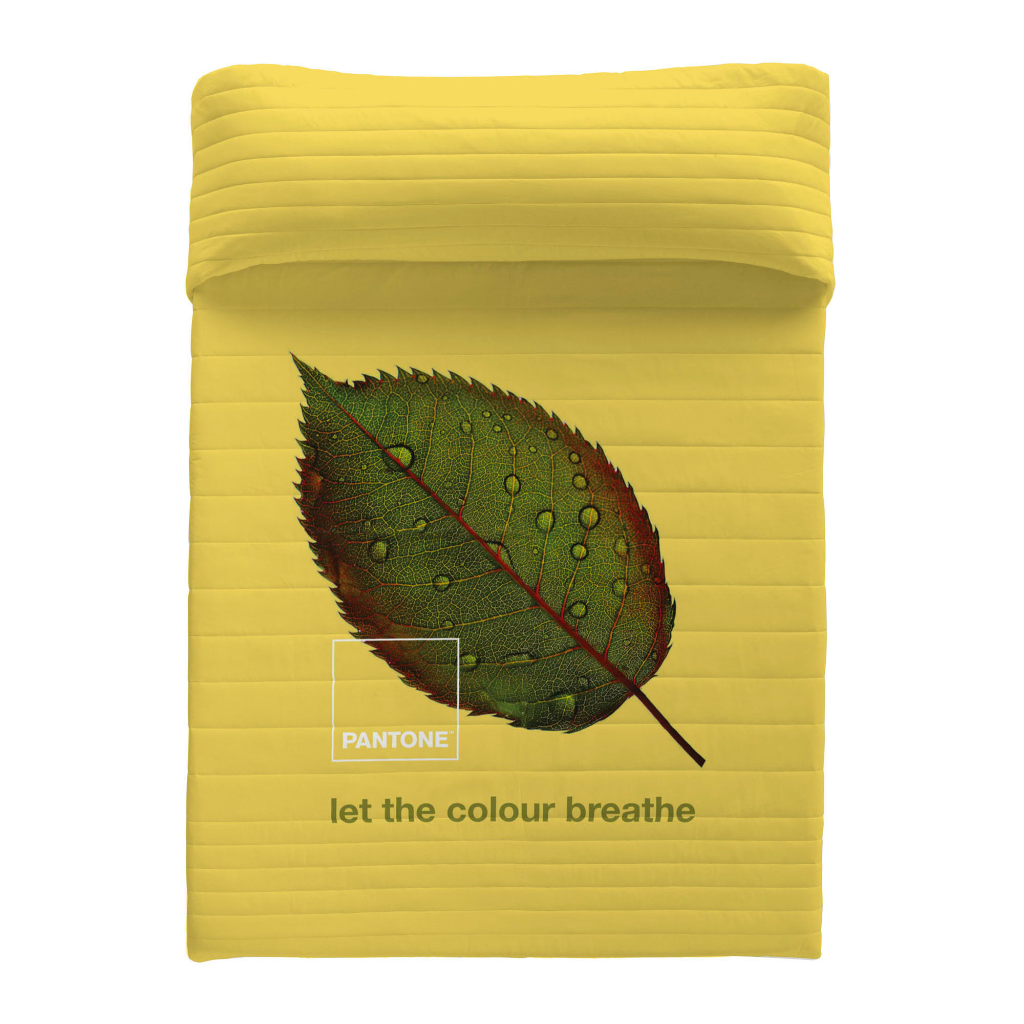 Colcha Bouti Estampada - 2/3 Piezas - 100% Poliéster - Microfibra - 70 gr/m² - Nauek Grey