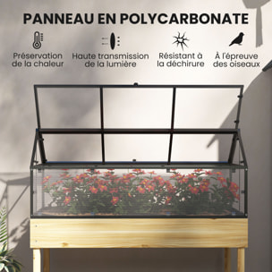 Mini carré potager bois serre acier polycarbonate sur pieds