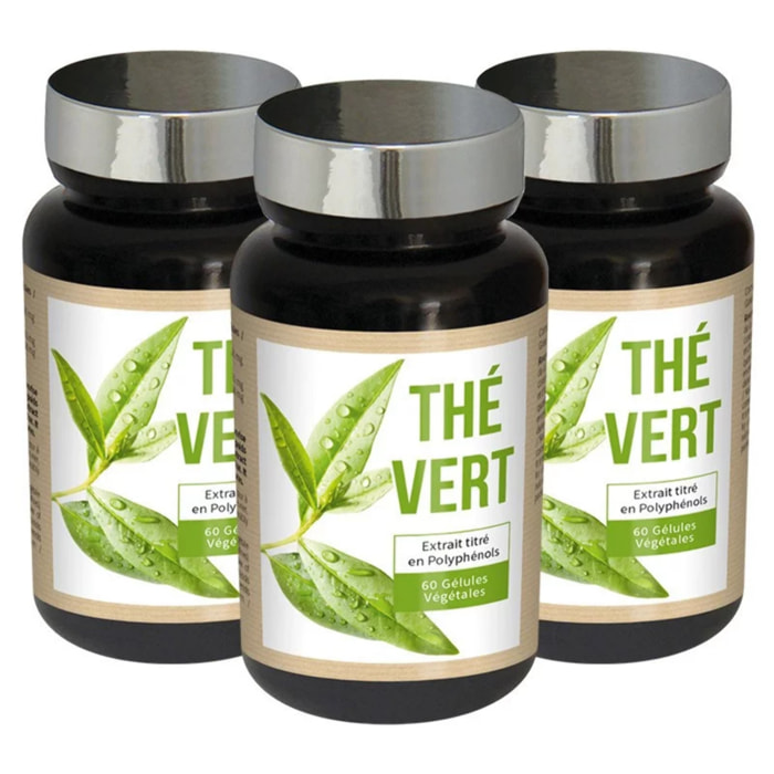 NTRIEXPERT - Thé Vert - Favorise la thermogénèse et la perte de masse grasse - 100% d'extrait de Thé Vert - Gélules végétales - Lot de 3 produits