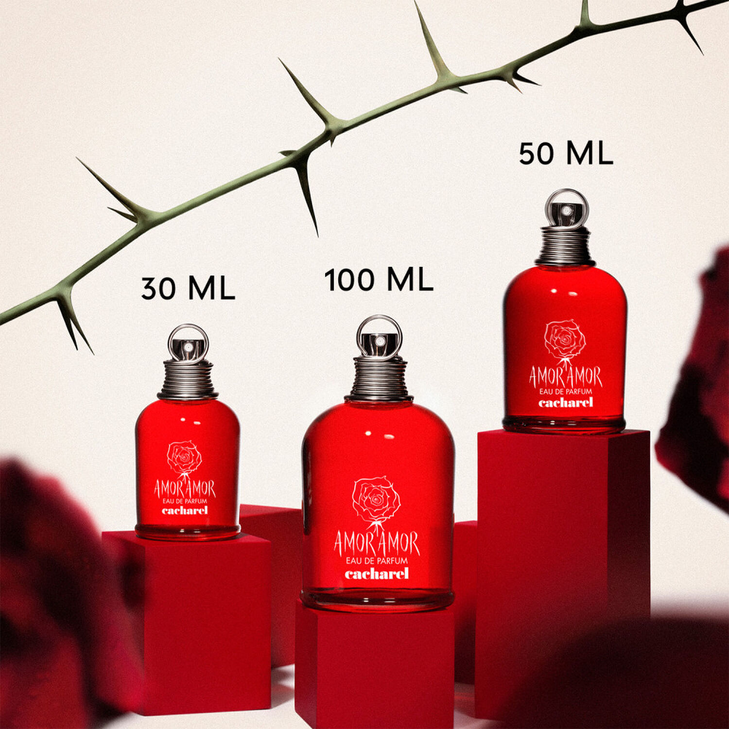 Amor Amor - Eau de Parfum