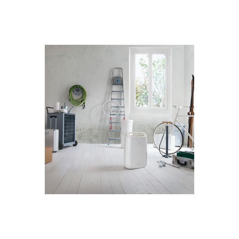 Deshumidificateur DELONGHI DEX210SF
