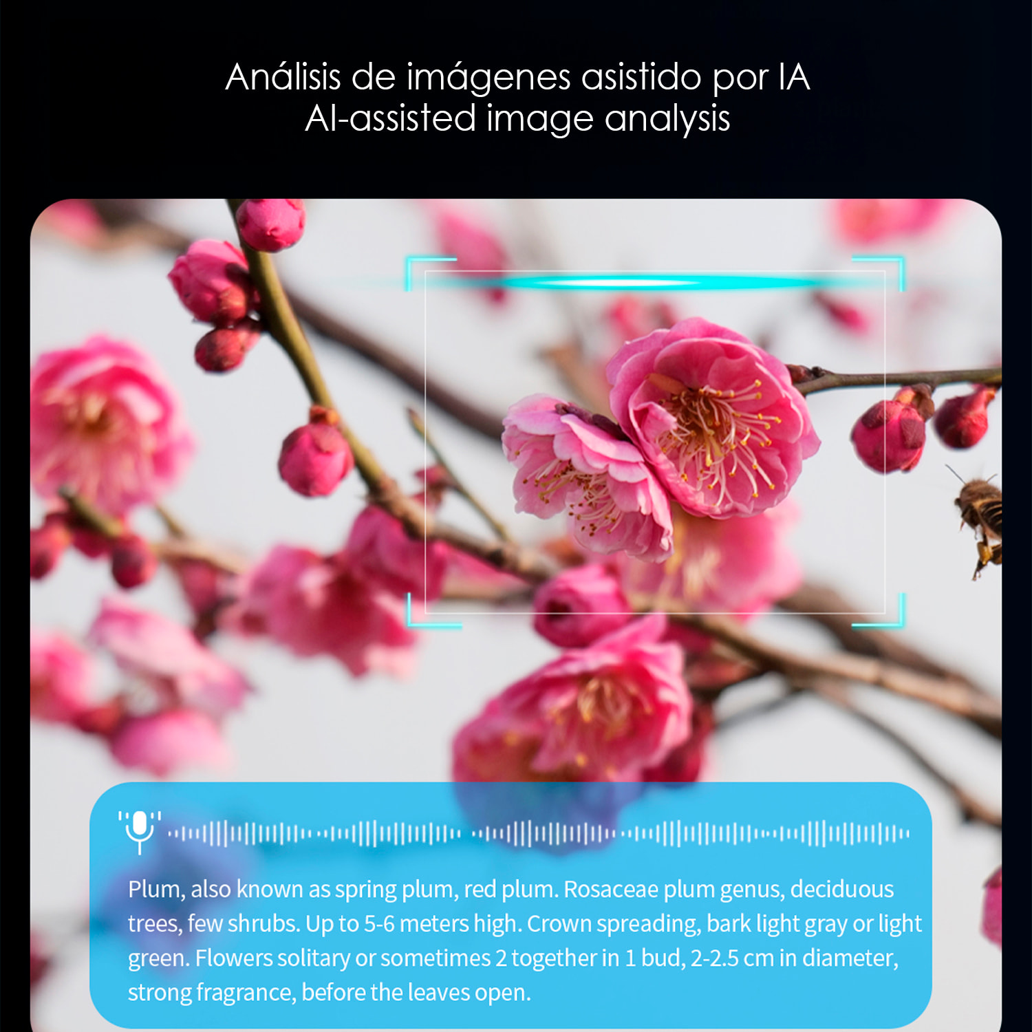 Occhiali intelligenti CY01. Con fotocamera da 8 MPX per foto e video, traduttore AI in tempo reale e controllo della musica/chiamate. Memoria da 16GB, lenti solari e trasparenti.