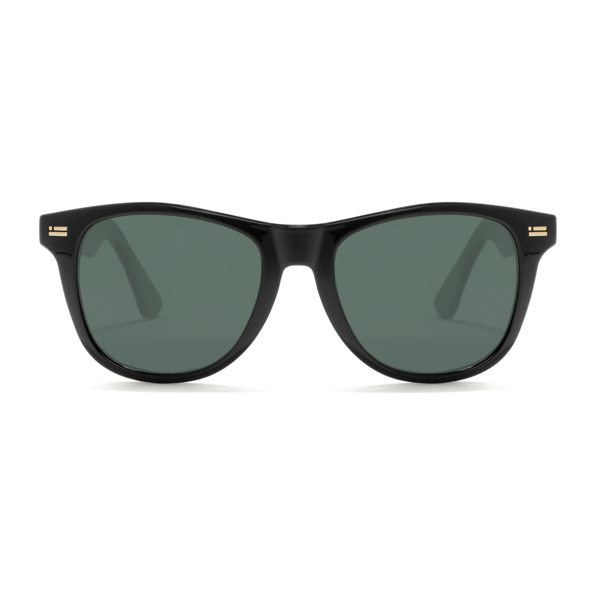 Gafas de Sol Roosevelt V Shiny Black / G15 D.Franklin