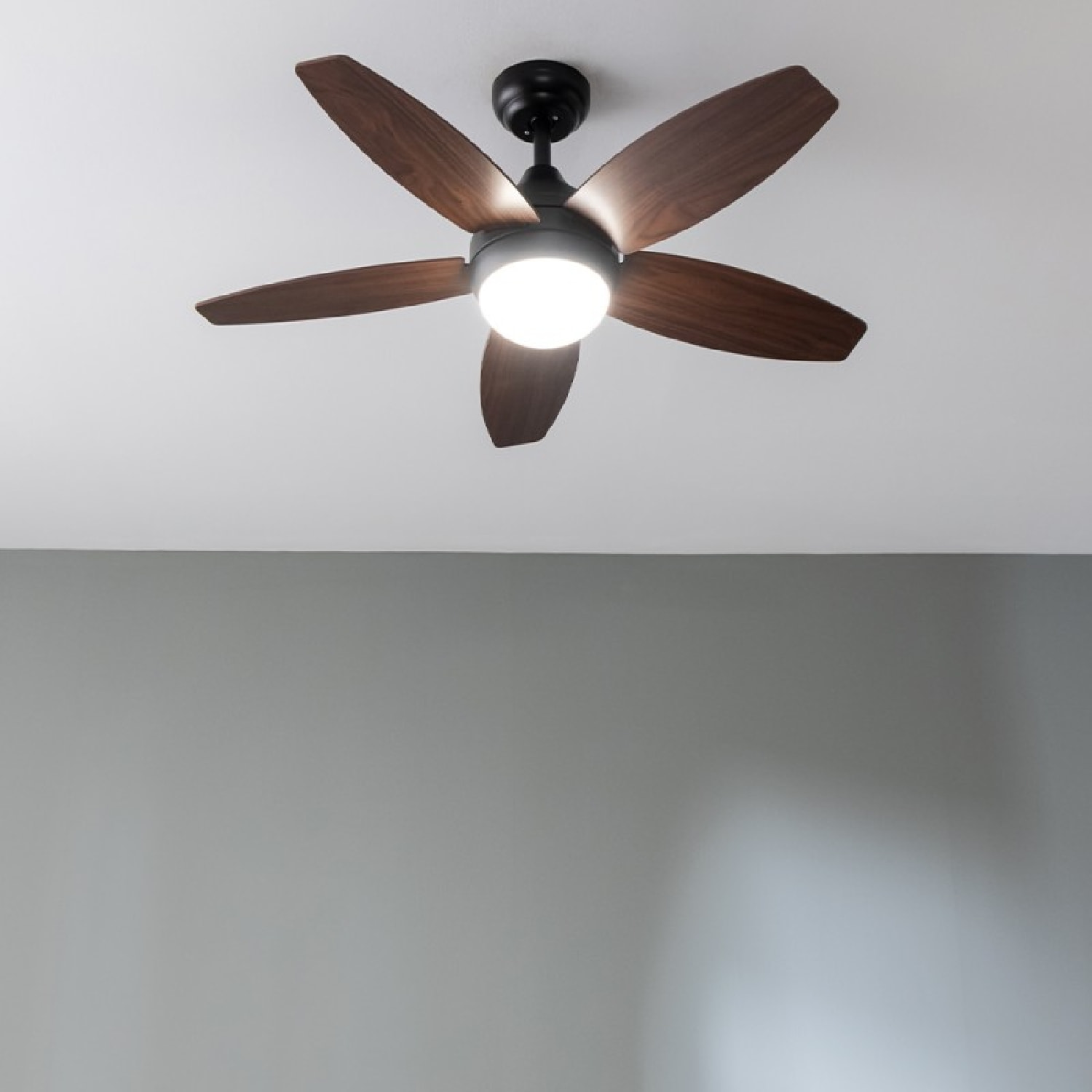 Ventilador de techo con luz EnergySilence Aero 4200 Black&DarkWood Cecotec