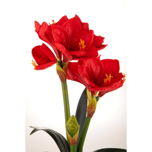 Amaryllis Con Vaso. Altezza 64 Cm - Pezzi 1 - 36X64X25cm - Colore: Rosso - Bianchi Dino - Piante Artificiali