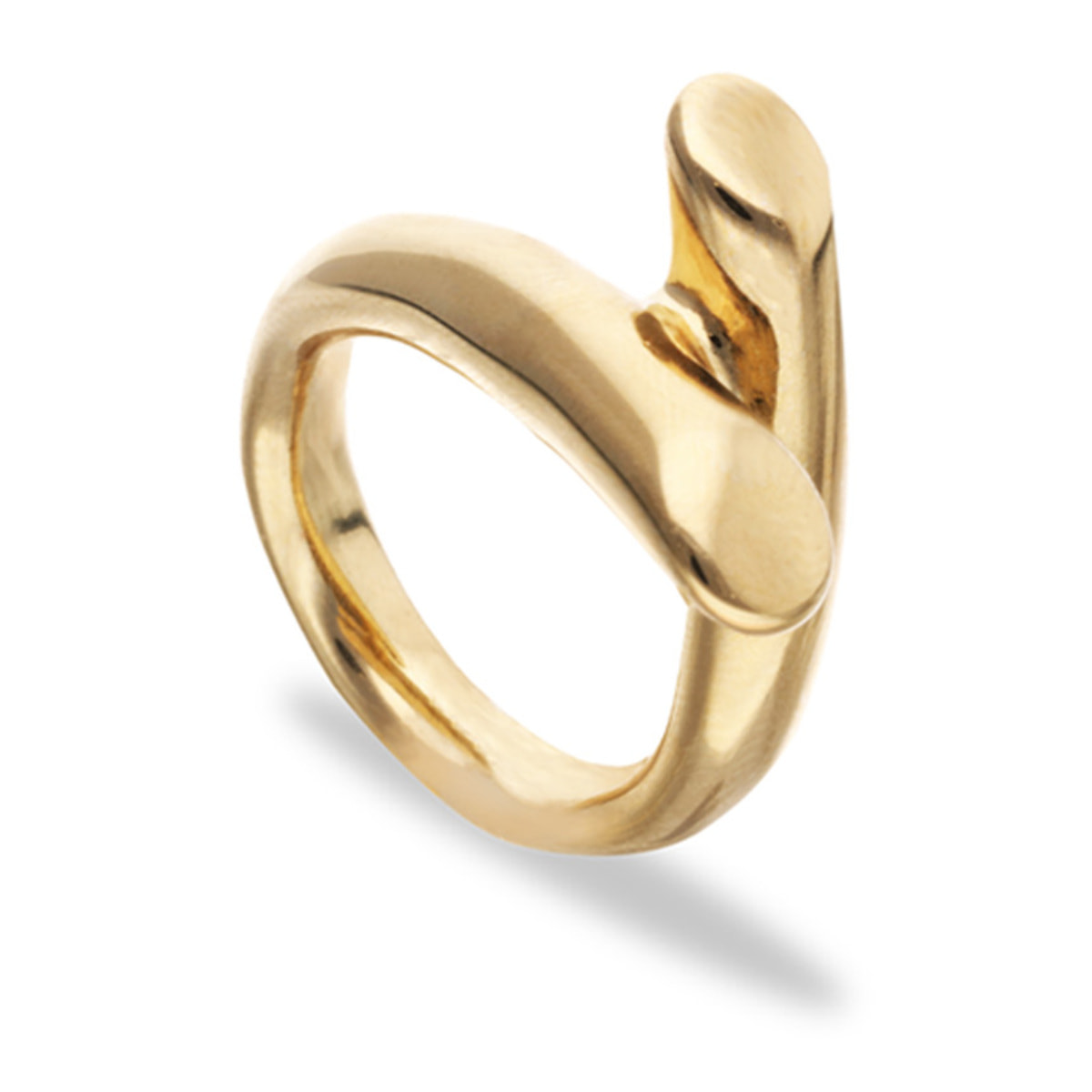 Anillo RAÍCES DORADO 12