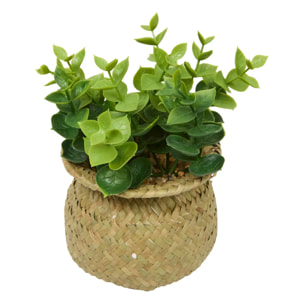 Plante artificielle en pot Jil 10x10cm
