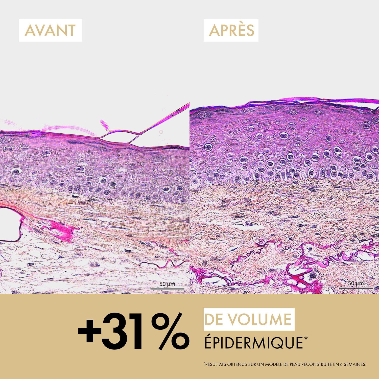 Neovadiol Longevity - Recharge Crème Revolumisante