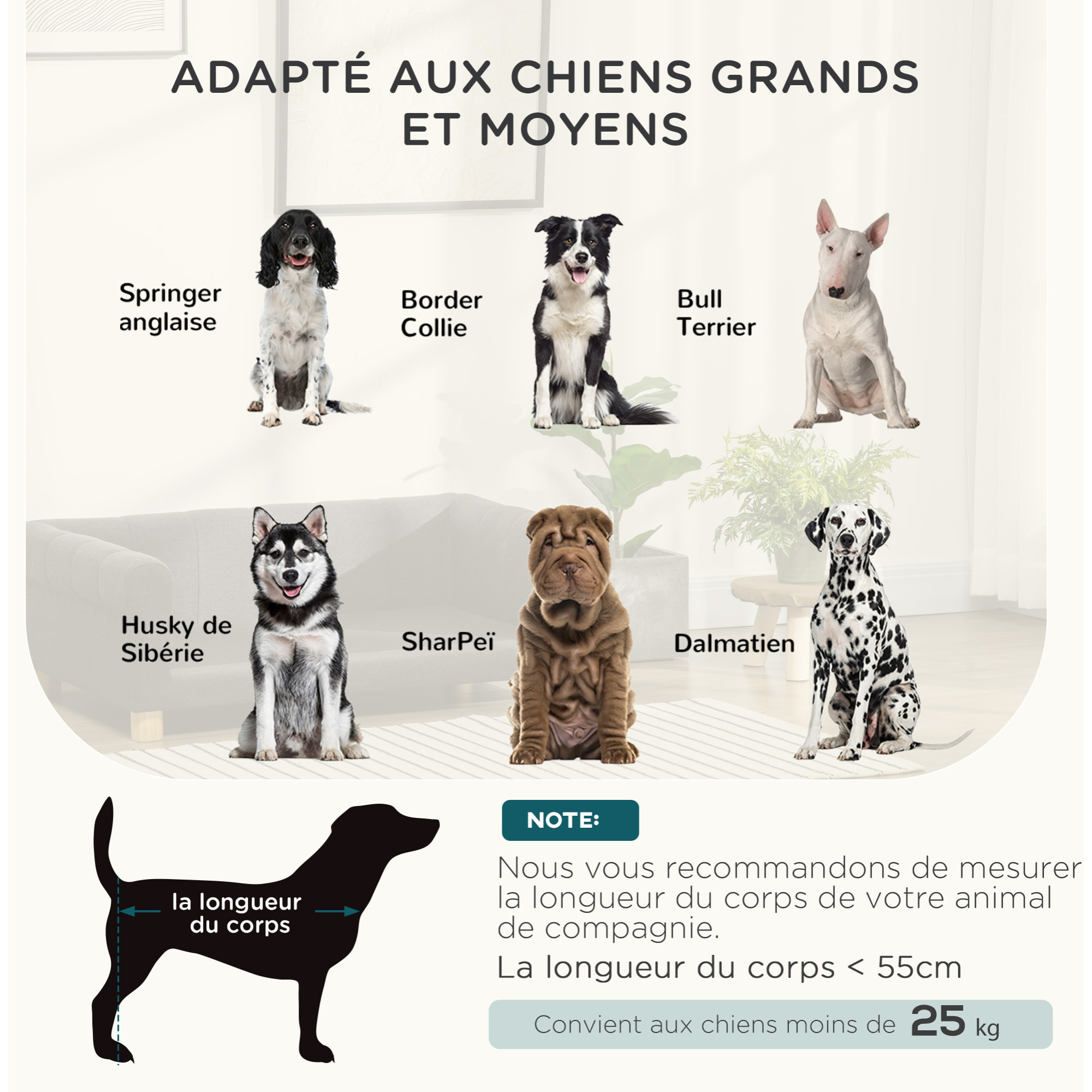 Canapé chien lit pour chien design scandinave coussin moelleux piètement bois dim. 100L x 62l x 32H cm polyester gris