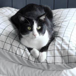 Taie d'oreiller Oscar