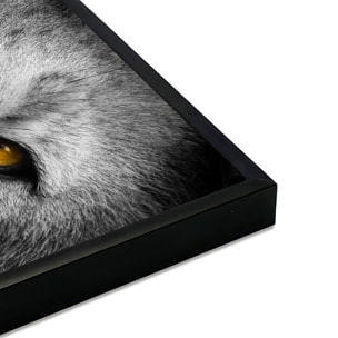 Affiche encadrée regard de loup en gros plan Affiche + cadre en métal - Noir