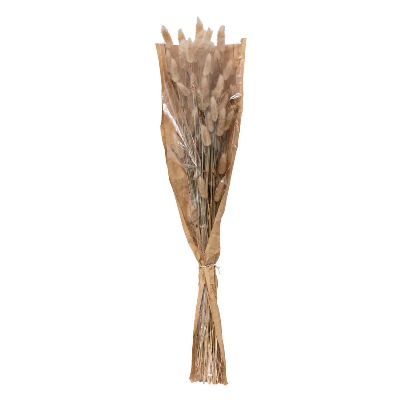 Bouquet fleurs séchées "Ori" blanc ivoire H58cm