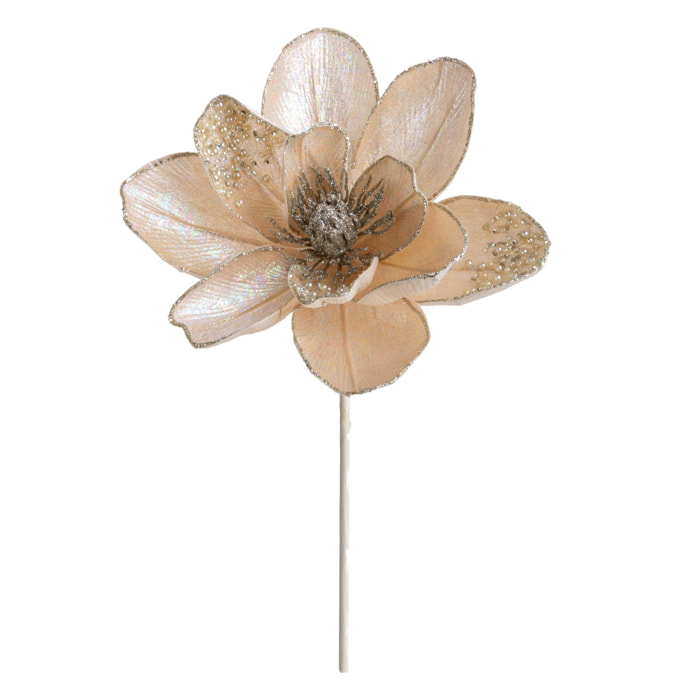 Magnolia - Pezzi 12 - 18xH50x21cm - Bianchi Dino SpA