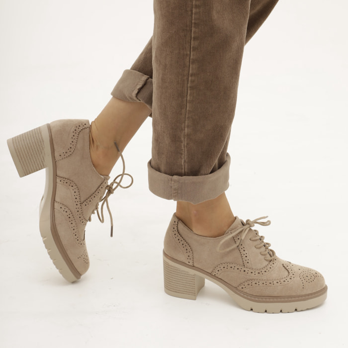 OXFORD CON TACCO TORTORA