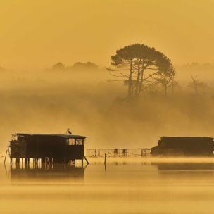 Tableau tonne landaise au petit matin Tableau plexiglas