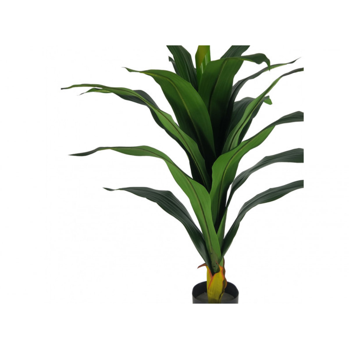 Plante tropicale artificielle Yucca H80 cm - YUKO
