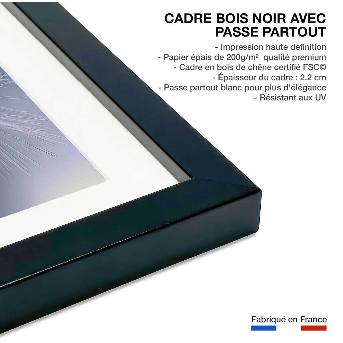 Affiche fleurs dandelion seeds Affiche + cadre en bois - Noir