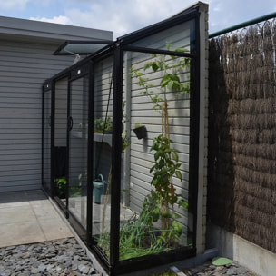 Serre en verre Murale MICCOLO – 2,46 m²