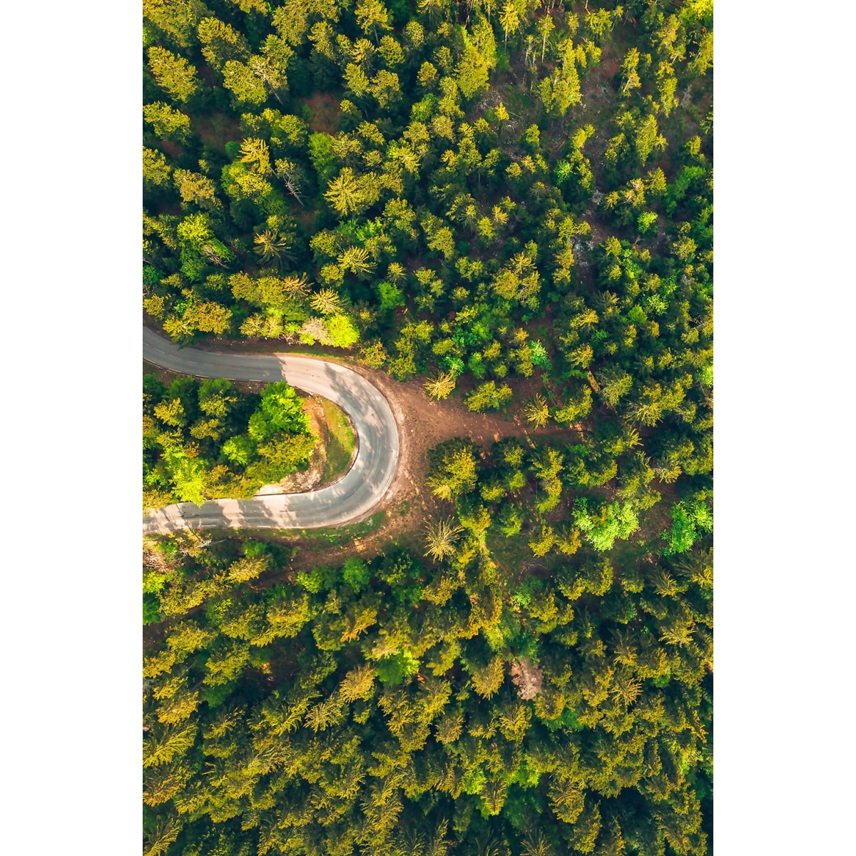 Tableau l' aventure Tableau plexiglas