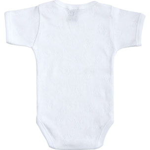 Body bebé manga corta calado ositos
