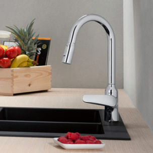 Mitigeur cuisine Focus M42 avec douchette extractible 1 jet
