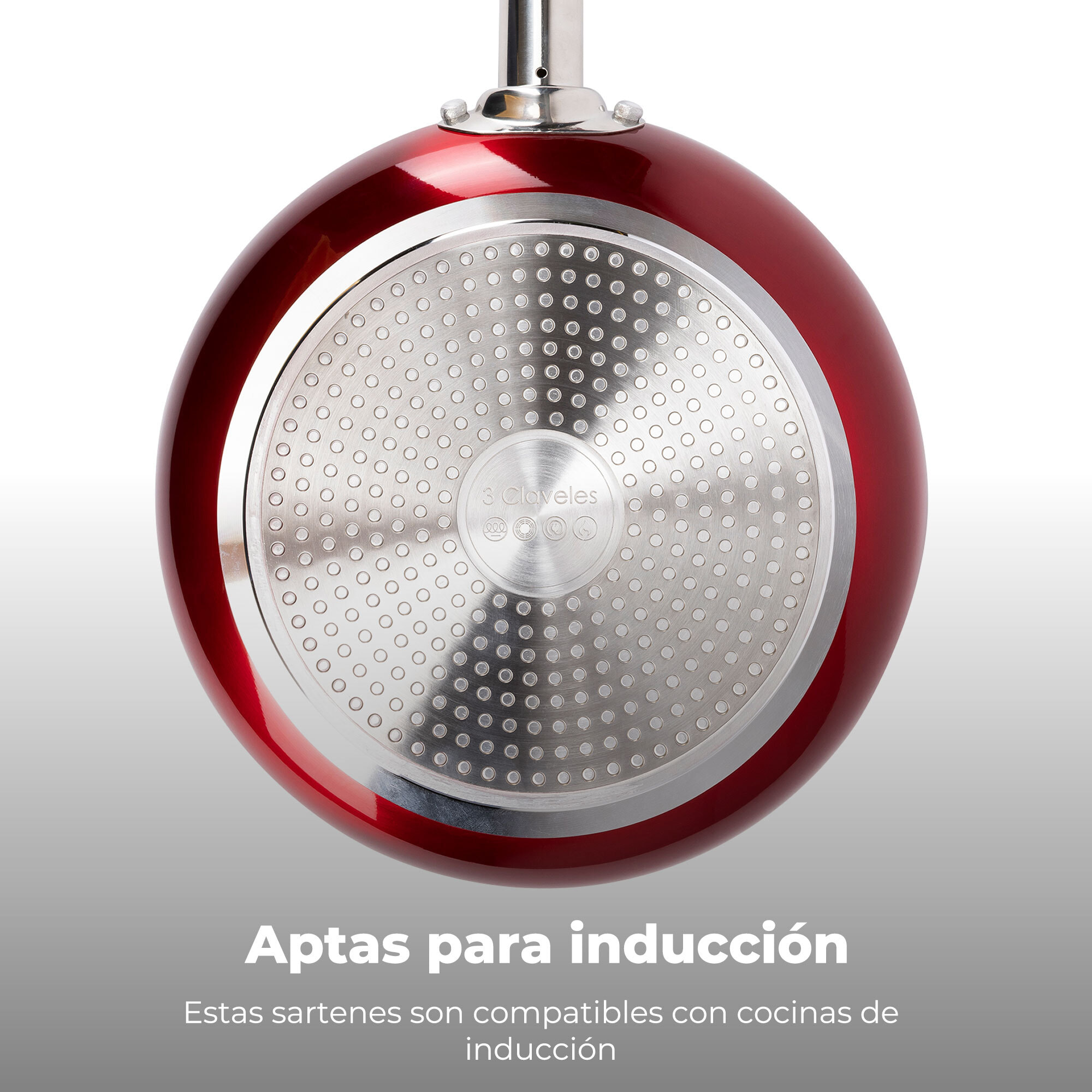 Set de 4 sartenes ø20ø24ø28ø30cm en aluminio prensado aptas para inducción 3 claveles