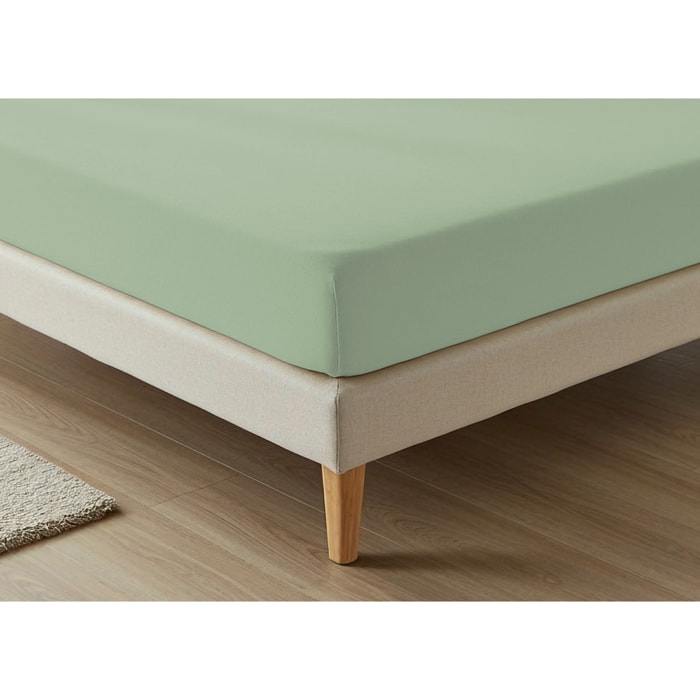 Lenzuolo Sotto Con Angoli No Stiro Tinta Unita Francesca Verde