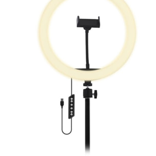 Lampe LED TNB Influence Anneau led 12''